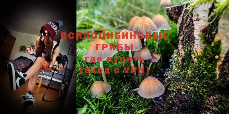 Псилоцибиновые грибы Magic Shrooms  Емва 